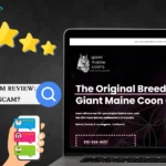 Mainecoonsize.com Review: Is It legit or Scam?