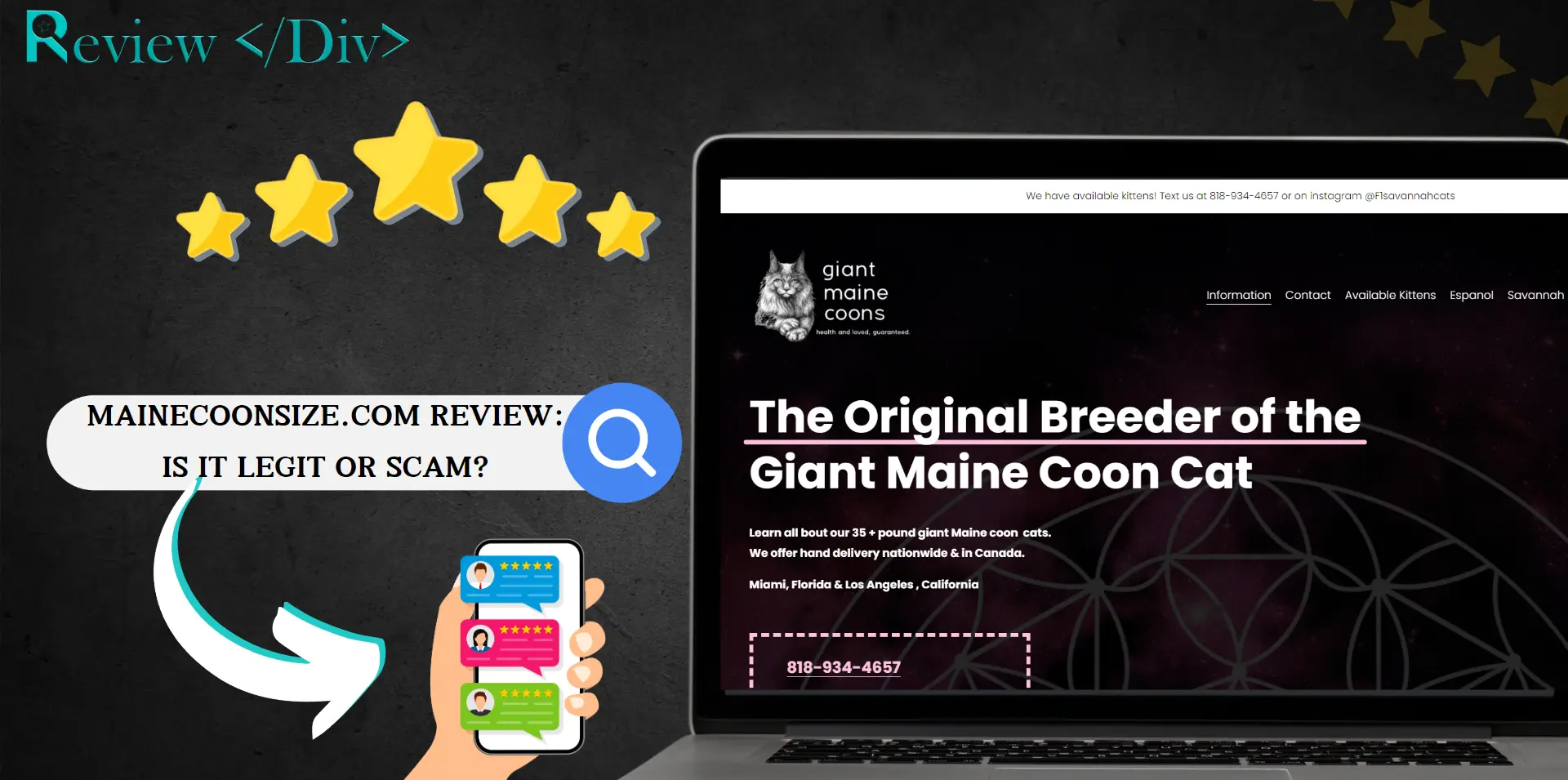 Mainecoonsize.com Review: Is It legit or Scam?