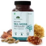 Irish Sea Moss Capsule Review: Pricing, Uses & Side Effects