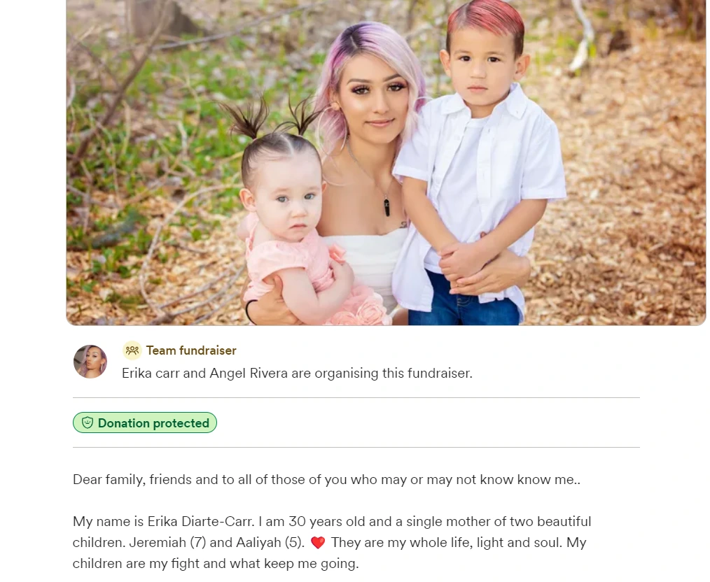 Erica Diarte Carr GoFundMe