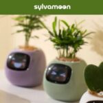 Sylvamoon.com Review | Is Sylvamoon.com Legit?