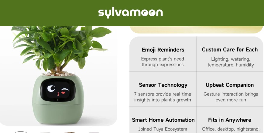 What is Sylvamoon.com?